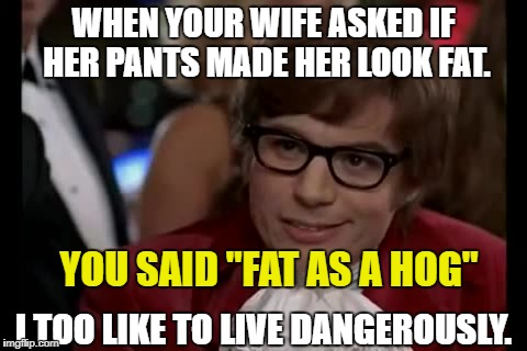 I Too Like To Live Dangerously Meme | WHEN YOUR WIFE ASKED IF HER PANTS MADE HER LOOK FAT. YOU SAID "FAT AS A HOG"; I TOO LIKE TO LIVE DANGEROUSLY. | image tagged in memes,i too like to live dangerously | made w/ Imgflip meme maker