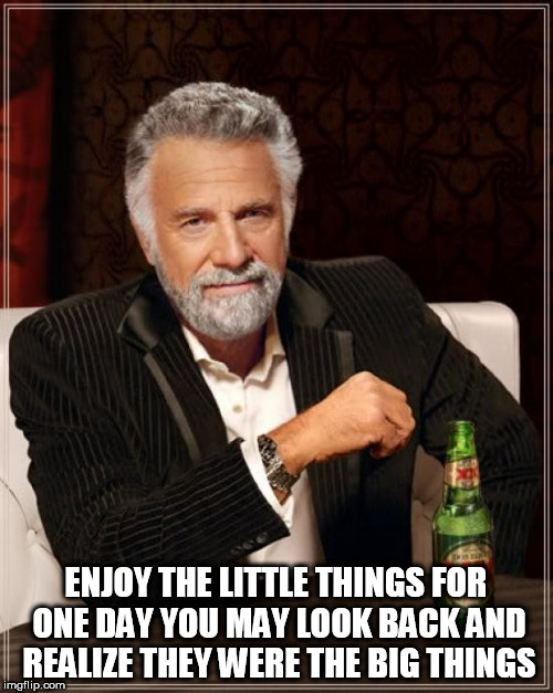 Courtesy of Robert Brault. Words of Wisdom Week A MemefordSons event Dec 16-23 | ENJOY THE LITTLE THINGS FOR ONE DAY YOU MAY LOOK BACK AND REALIZE THEY WERE THE BIG THINGS | image tagged in memes,the most interesting man in the world,words of wisdom week | made w/ Imgflip meme maker
