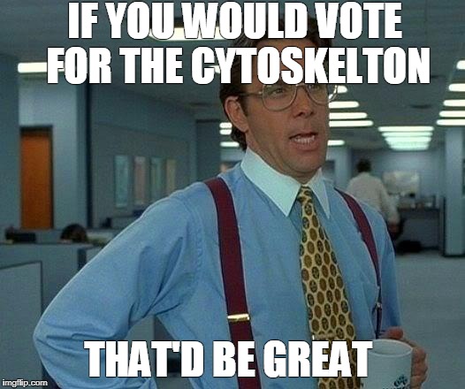 That Would Be Great Meme | IF YOU WOULD VOTE FOR THE CYTOSKELTON; THAT'D BE GREAT | image tagged in memes,that would be great | made w/ Imgflip meme maker