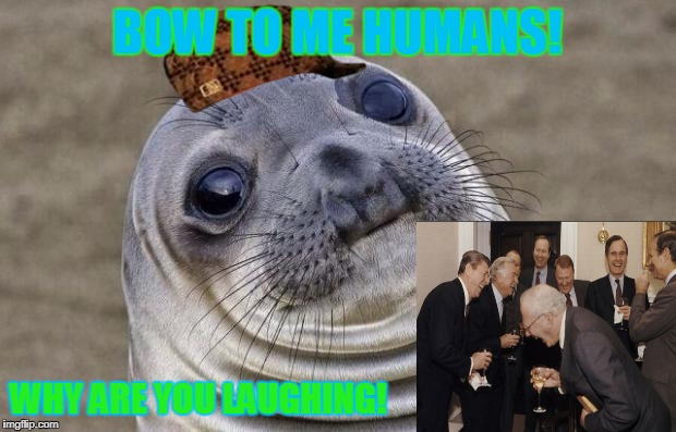 Awkward Moment Sealion Meme | BOW TO ME HUMANS! WHY ARE YOU LAUGHING! | image tagged in memes,awkward moment sealion,scumbag | made w/ Imgflip meme maker