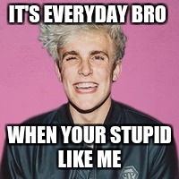 IT'S EVERYDAY BRO; WHEN YOUR STUPID LIKE ME | image tagged in jake paul,stupid,its everyday bro,paul brother | made w/ Imgflip meme maker