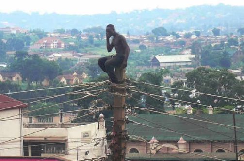Guy on Telephone Pole Blank Meme Template