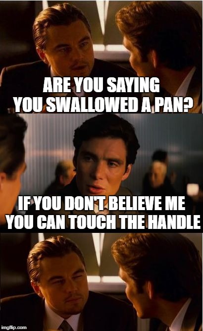 Inception | ARE YOU SAYING YOU SWALLOWED A PAN? IF YOU DON'T BELIEVE ME YOU CAN TOUCH THE HANDLE | image tagged in memes,inception | made w/ Imgflip meme maker