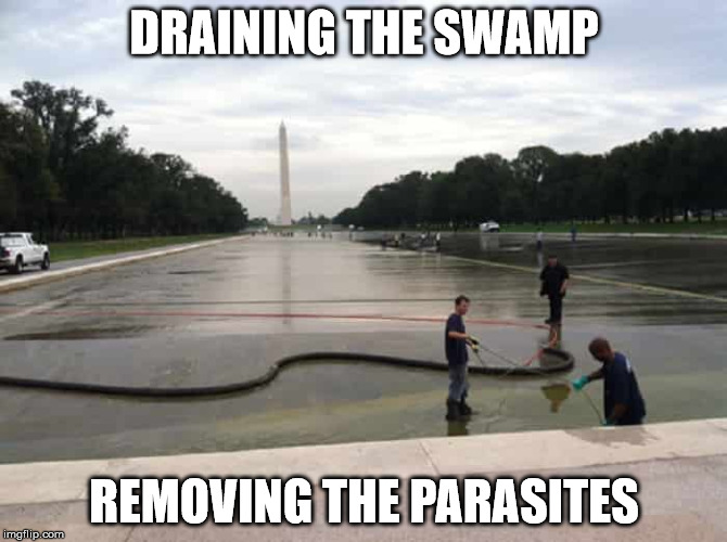 DRAINING THE SWAMP; REMOVING THE PARASITES | made w/ Imgflip meme maker