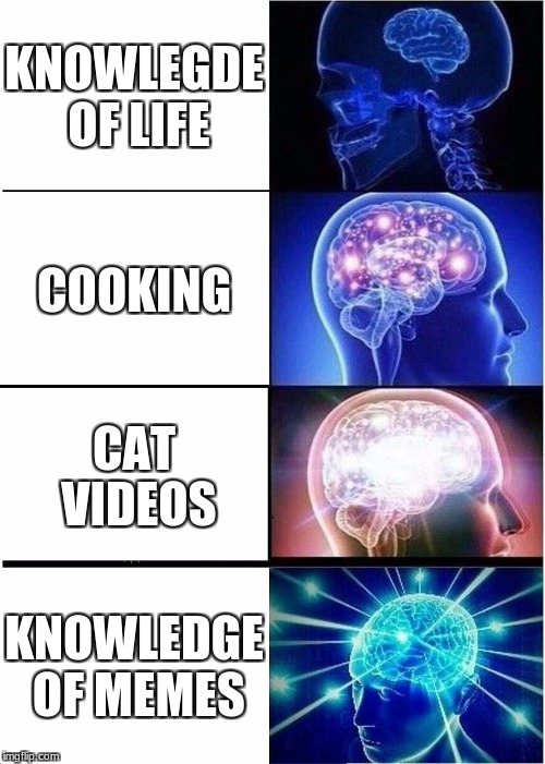 Expanding Brain Meme | KNOWLEGDE OF LIFE; COOKING; CAT VIDEOS; KNOWLEDGE OF MEMES | image tagged in memes,expanding brain | made w/ Imgflip meme maker
