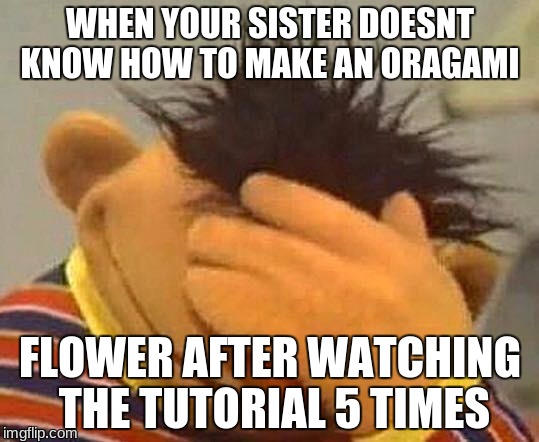 Muppets  | WHEN YOUR SISTER DOESNT KNOW HOW TO MAKE AN ORAGAMI; FLOWER AFTER WATCHING THE TUTORIAL 5 TIMES | image tagged in muppets | made w/ Imgflip meme maker