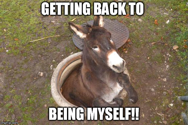 Asshole | GETTING BACK TO; BEING MYSELF!! | image tagged in asshole | made w/ Imgflip meme maker