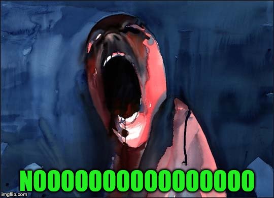 Pink Floyd Scream | NOOOOOOOOOOOOOOOO | image tagged in pink floyd scream | made w/ Imgflip meme maker