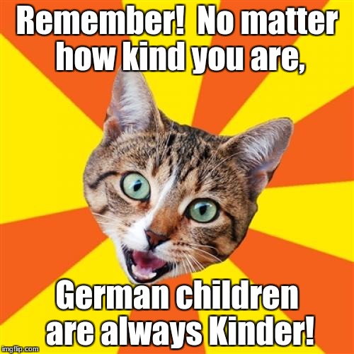 Kinder | Remember!  No matter how kind you are, German children are always Kinder! | image tagged in memes,bad advice cat,german puns,bad puns,puns,cat memes | made w/ Imgflip meme maker