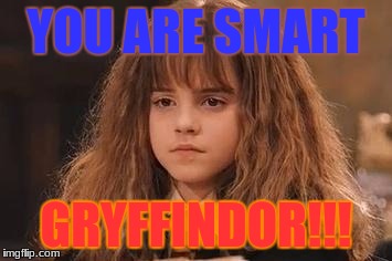 Harry Potter - Miss Granger is NOT amused | YOU ARE SMART; GRYFFINDOR!!! | image tagged in harry potter - miss granger is not amused | made w/ Imgflip meme maker