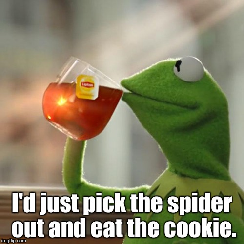 But That's None Of My Business Meme | I'd just pick the spider out and eat the cookie. | image tagged in memes,but thats none of my business,kermit the frog | made w/ Imgflip meme maker