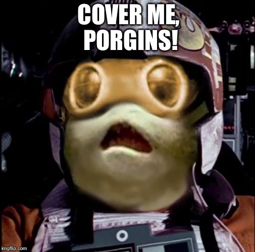COVER ME, PORGINS! | image tagged in cover me,porgins | made w/ Imgflip meme maker