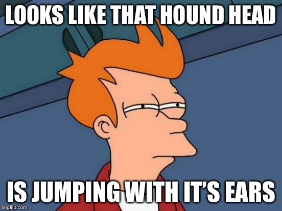 Futurama Fry Meme | LOOKS LIKE THAT HOUND HEAD IS JUMPING WITH IT’S EARS | image tagged in memes,futurama fry | made w/ Imgflip meme maker