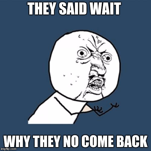 when they forgot you were there | THEY SAID WAIT; WHY THEY NO COME BACK | image tagged in memes,y u no | made w/ Imgflip meme maker