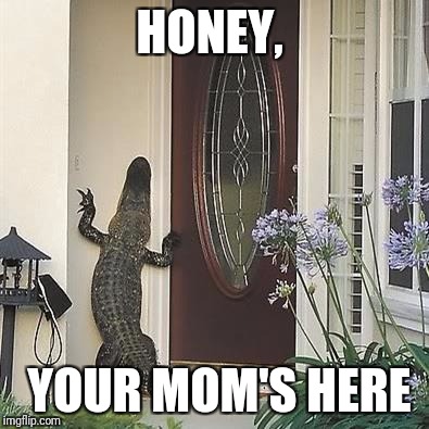 HONEY, YOUR MOM'S HERE | made w/ Imgflip meme maker