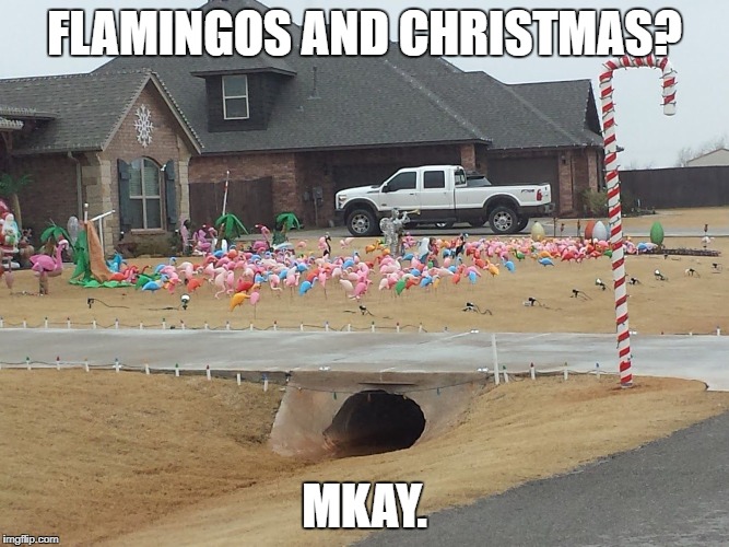 Flamingos for Christmas | FLAMINGOS AND CHRISTMAS? MKAY. | image tagged in xmas flamingos | made w/ Imgflip meme maker