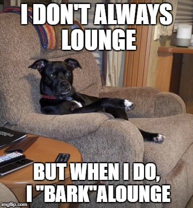 George - the most interesting dog in the world | I DON'T ALWAYS LOUNGE; BUT WHEN I DO, I "BARK"ALOUNGE | image tagged in the most interesting man in the world,the most interesting dog in the world | made w/ Imgflip meme maker