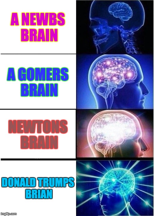 Expanding Brain Meme | A NEWBS BRAIN; A GOMERS BRAIN; NEWTONS BRAIN; DONALD TRUMPS BRIAN | image tagged in memes,expanding brain | made w/ Imgflip meme maker