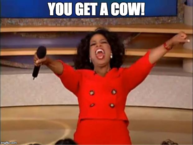 Oprah You Get A Meme | YOU GET A COW! | image tagged in memes,oprah you get a | made w/ Imgflip meme maker