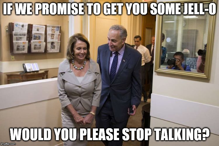 schumer Pelosi | IF WE PROMISE TO GET YOU SOME JELL-O; WOULD YOU PLEASE STOP TALKING? | image tagged in schumer pelosi | made w/ Imgflip meme maker