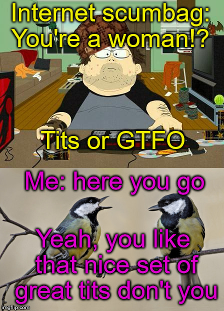 Tits or GTFO; yeah, let me get right on that | Internet scumbag: You're a woman!? Tits or GTFO; Me: here you go; Yeah, you like that nice set of great tits don't you | image tagged in tits or gtfo,scumbag,great tits,tits | made w/ Imgflip meme maker