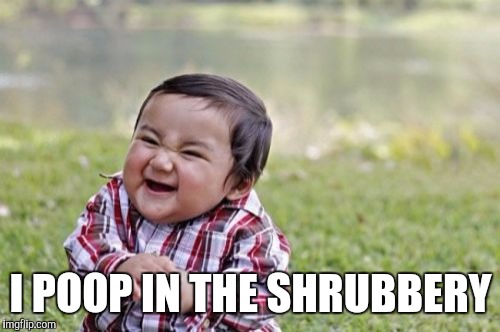 Evil Toddler Meme | I POOP IN THE SHRUBBERY | image tagged in memes,evil toddler | made w/ Imgflip meme maker