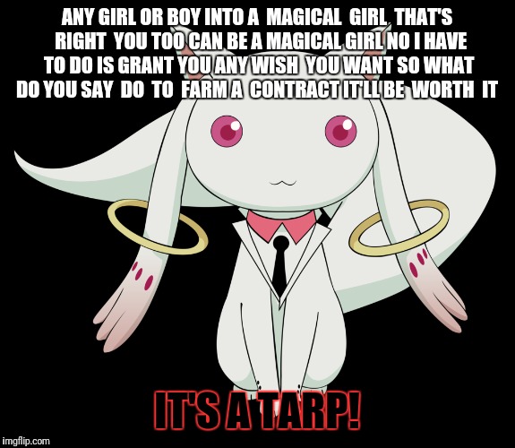 anime contract | ANY GIRL OR BOY INTO A  MAGICAL  GIRL  THAT'S  RIGHT  YOU TOO CAN BE A MAGICAL GIRL NO I HAVE TO DO IS GRANT YOU ANY WISH  YOU WANT SO WHAT DO YOU SAY  DO  TO  FARM A 
CONTRACT IT'LL BE  WORTH  IT; IT'S A TARP! | image tagged in funny | made w/ Imgflip meme maker