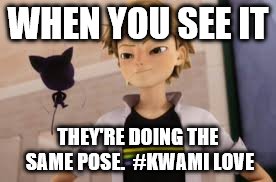 When You See It | WHEN YOU SEE IT; THEY'RE DOING THE SAME POSE. 
#KWAMI LOVE | image tagged in kwamilove | made w/ Imgflip meme maker