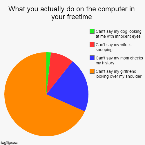 image tagged in funny,pie charts,you don't say | made w/ Imgflip chart maker