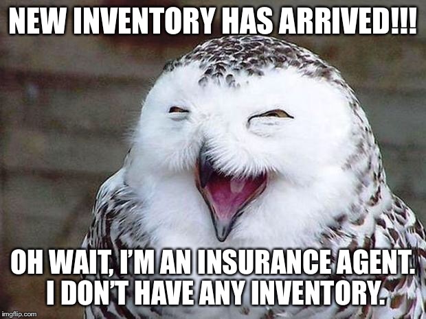 owl happy | NEW INVENTORY HAS ARRIVED!!! OH WAIT, I’M AN INSURANCE AGENT. I DON’T HAVE ANY INVENTORY. | image tagged in owl happy | made w/ Imgflip meme maker