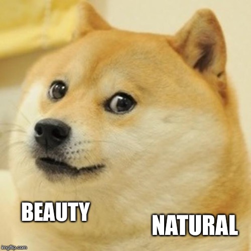 Doge Meme | BEAUTY NATURAL | image tagged in memes,doge | made w/ Imgflip meme maker