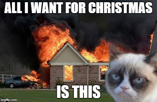 Burn Kitty | ALL I WANT FOR CHRISTMAS; IS THIS | image tagged in memes,burn kitty,grumpy cat | made w/ Imgflip meme maker