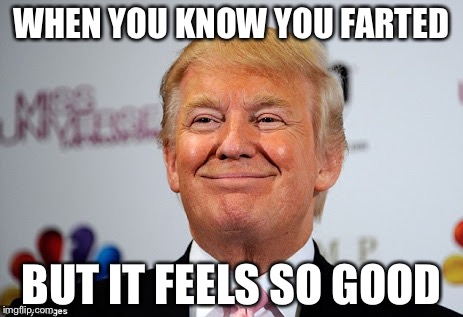 The real Trump | WHEN YOU KNOW YOU FARTED; BUT IT FEELS SO GOOD | image tagged in donald trump approves | made w/ Imgflip meme maker