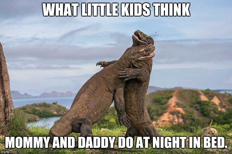 This is true right. Comment if it is true  | WHAT LITTLE KIDS THINK; MOMMY AND DADDY DO AT NIGHT IN BED. | image tagged in lizard | made w/ Imgflip meme maker