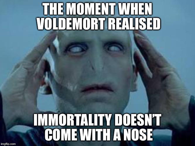Voldemort | THE MOMENT WHEN VOLDEMORT REALISED; IMMORTALITY DOESN’T COME WITH A NOSE | image tagged in harrypotter,voldemort | made w/ Imgflip meme maker