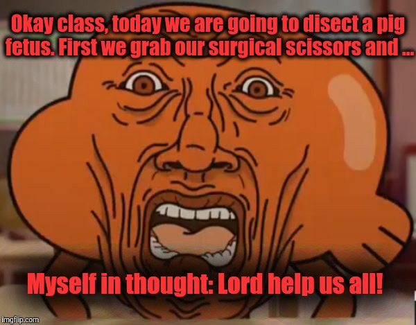 gumball darwin upset | Okay class, today we are going to disect a pig fetus. First we grab our surgical scissors and ... Myself in thought: Lord help us all! | image tagged in gumball darwin upset | made w/ Imgflip meme maker