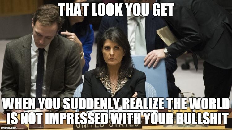 THAT LOOK YOU GET; WHEN YOU SUDDENLY REALIZE THE WORLD IS NOT IMPRESSED WITH YOUR BULLSHIT | image tagged in united nations | made w/ Imgflip meme maker