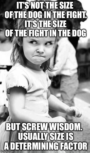 Logic people | IT'S NOT THE SIZE OF THE DOG IN THE FIGHT. IT'S THE SIZE OF THE FIGHT IN THE DOG; BUT SCREW WISDOM.
 USUALLY SIZE IS A DETERMINING FACTOR | image tagged in memes,angry toddler,reality,funny,sudden realization | made w/ Imgflip meme maker