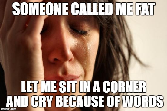 First World Problems Meme | SOMEONE CALLED ME FAT; LET ME SIT IN A CORNER AND CRY BECAUSE OF WORDS | image tagged in memes,first world problems | made w/ Imgflip meme maker