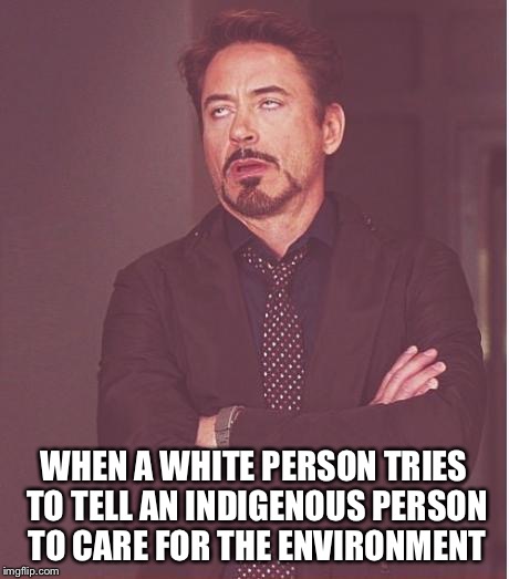 Face You Make Robert Downey Jr | WHEN A WHITE PERSON TRIES TO TELL AN INDIGENOUS PERSON TO CARE FOR THE ENVIRONMENT | image tagged in memes,face you make robert downey jr | made w/ Imgflip meme maker