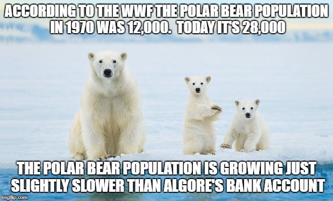 But ... | ACCORDING TO THE WWF THE POLAR BEAR POPULATION IN 1970 WAS 12,000.  TODAY IT'S 28,000 THE POLAR BEAR POPULATION IS GROWING JUST SLIGHTLY SLO | image tagged in polar bear,al gore,global warming is a hoax | made w/ Imgflip meme maker