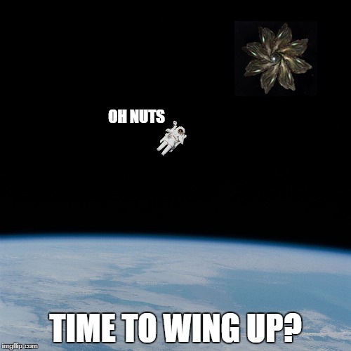 Nasa flat earth space station ISS | OH NUTS; TIME TO WING UP? | image tagged in nasa flat earth space station iss | made w/ Imgflip meme maker