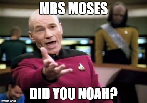 Picard Wtf Meme | MRS MOSES DID YOU NOAH? | image tagged in memes,picard wtf | made w/ Imgflip meme maker