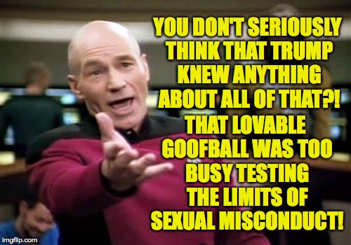 Picard Wtf Meme | YOU DON'T SERIOUSLY THINK THAT TRUMP KNEW ANYTHING ABOUT ALL OF THAT?! THAT LOVABLE GOOFBALL WAS TOO BUSY TESTING THE LIMITS OF SEXUAL MISCO | image tagged in memes,picard wtf | made w/ Imgflip meme maker
