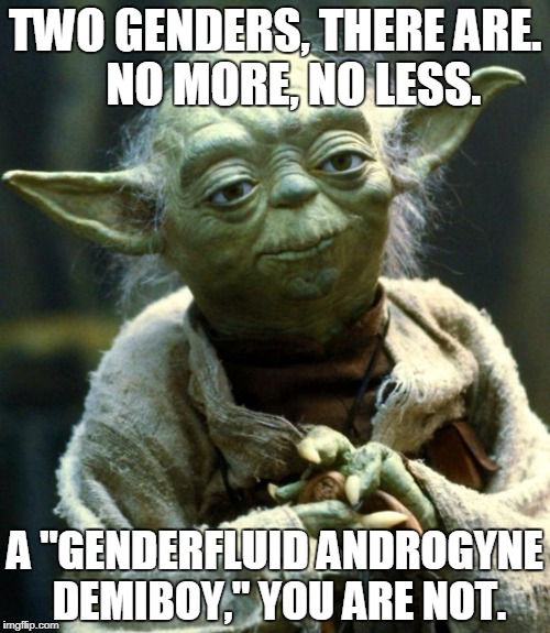 Star Wars Yoda | TWO GENDERS, THERE ARE.    NO MORE, NO LESS. A "GENDERFLUID ANDROGYNE DEMIBOY," YOU ARE NOT. | image tagged in memes,star wars yoda | made w/ Imgflip meme maker