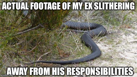 ACTUAL FOOTAGE OF MY EX SLITHERING; AWAY FROM HIS RESPONSIBILITIES | image tagged in snake | made w/ Imgflip meme maker