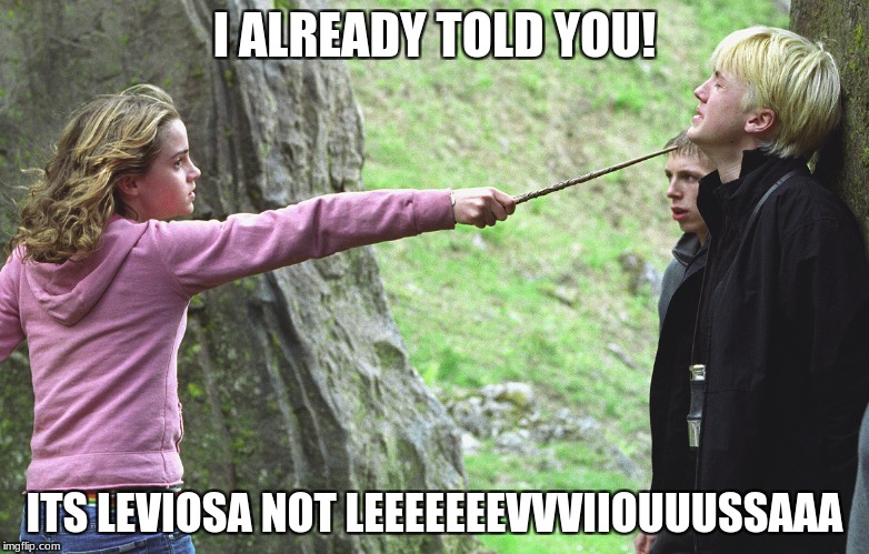 harry potter | I ALREADY TOLD YOU! ITS LEVIOSA NOT LEEEEEEEVVVIIOUUUSSAAA | image tagged in harry potter,parry hotter | made w/ Imgflip meme maker