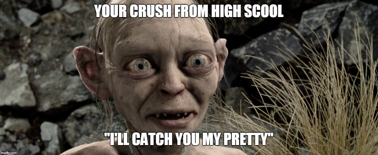 lord of the rings | YOUR CRUSH FROM HIGH SCOOL; "I'LL CATCH YOU MY PRETTY" | image tagged in lord of the rings | made w/ Imgflip meme maker
