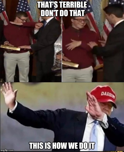Trump dab | THAT'S TERRIBLE DON'T DO THAT; THIS IS HOW WE DO IT | image tagged in dabbing,donald trump,memes,paul ryan | made w/ Imgflip meme maker