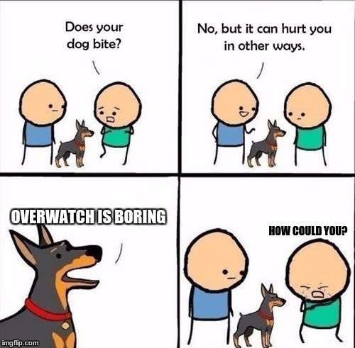 my opinion  | OVERWATCH IS BORING; HOW COULD YOU? | image tagged in does your dog bite | made w/ Imgflip meme maker